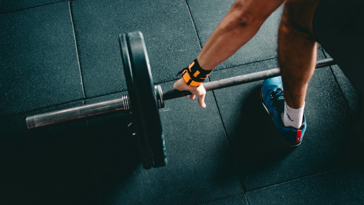 creatine monohydrate vs creapure vs hcl brain bioenergetics 2026