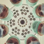 GlyNAC Glutathione Protocol: Aging Cellular Defense