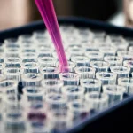 Urolithin A Clinical Trials: Mitophagy & Longevity