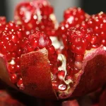 Urolithin A vs Spermidine: Autophagy & Mitophagy Guide